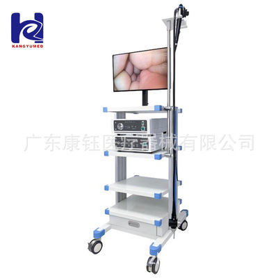 外贸高清电子胃镜肠镜Hig