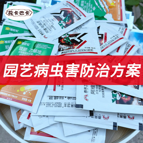 花卡巴卡花草绿植病虫害防治方案红蜘蛛