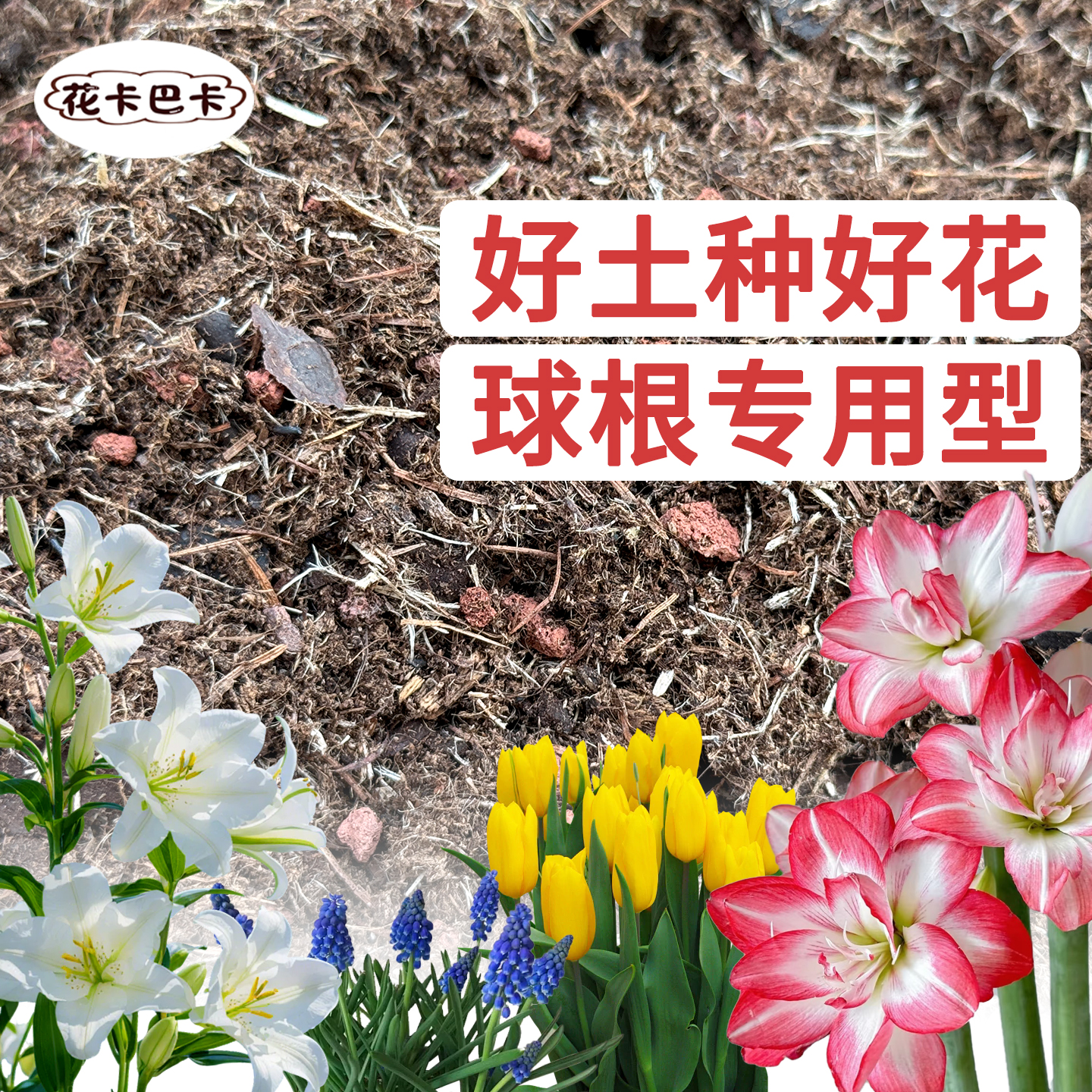 种球专用土球根种植土