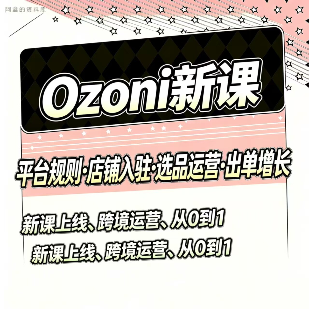 2026 OZON跨境电商课教程新手视频课程开店培训入门运营教学