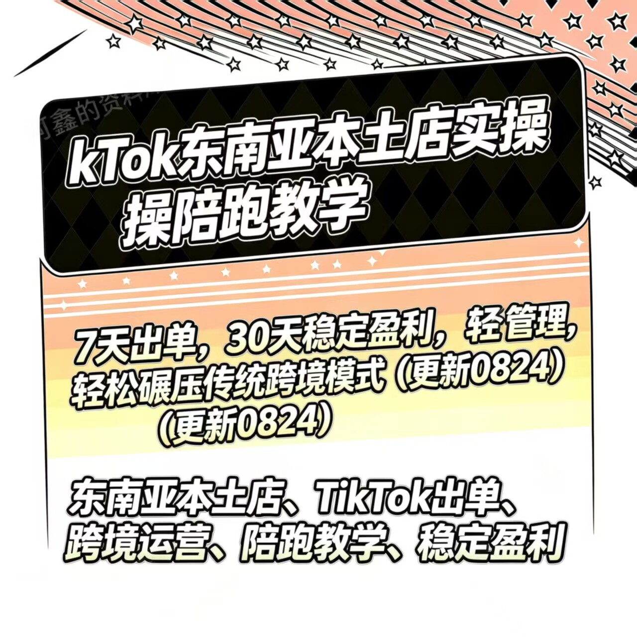 2026TK跨境电商教程店铺出海东南亚起号运营实操课程图片