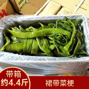 新鲜非干货裙带菜梗段海带丝海菠菜厚咸菜大连腌渍带水