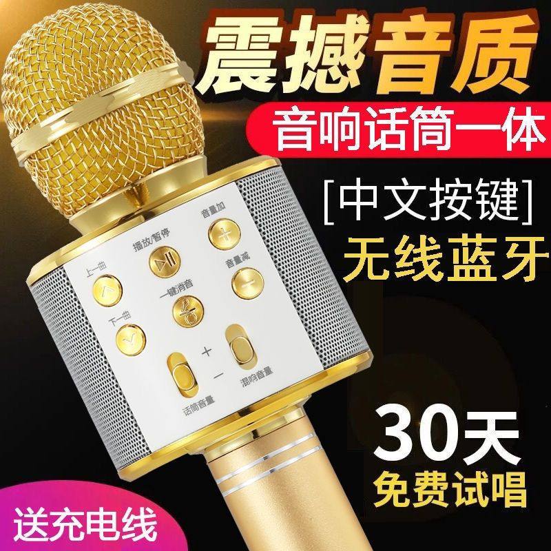 无线蓝牙麦克风话筒音响一体掌上KTV变声器儿童唱歌家用户外
