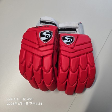板球Cricket Batting Gloves Sg hilite 2.0 Customized red定制