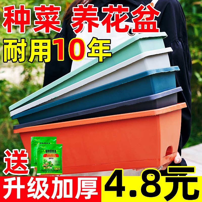 阳台长方形种菜盆种菜神器家庭阳台蔬菜塑料长条花盆槽盆厂家直销
