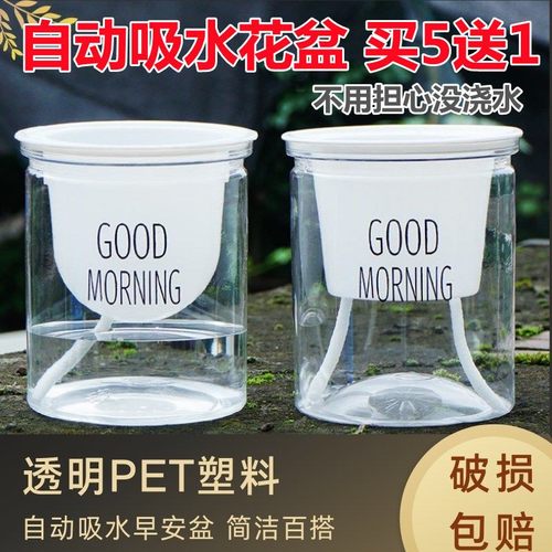 北欧塑料水培透明懒人自动吸水早安盆绿萝北欧简约吊兰绿植多肉花