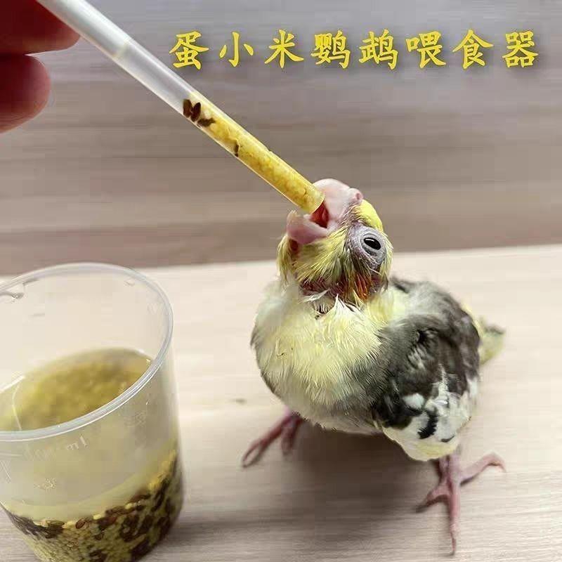 蛋粟喂食器手养鸟黑凤凰珍珠十姐妹牡丹喂养蛋米幼鸟喂食工具图片