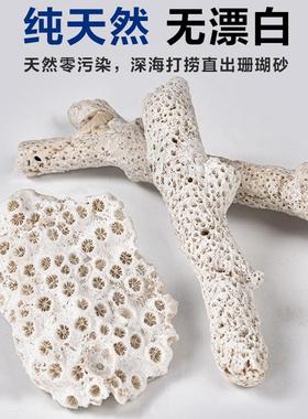 天然大块珊瑚骨滤材鱼缸过滤材料净水珊瑚石净化珊瑚砂过滤沙石