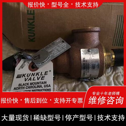 可维修Kunkle Vae Div 6010DCM02-KM议价