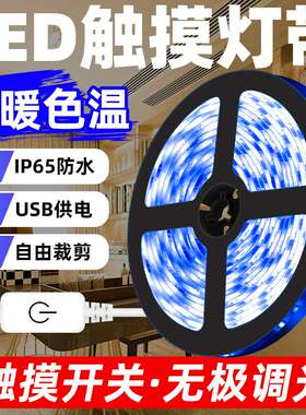 谦润照明LED灯带无极调光灯带USB高亮照明户外防水2835柔性灯条5V