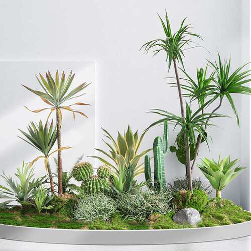 热带绿植景观室内展厅仿真植物盆栽巴西铁龙舌兰仙人球盆栽造景