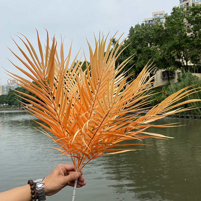 9叉散尾葵 铁树叶葵叶婚庆婚礼堂装饰家居插花配叶背景墙叶材