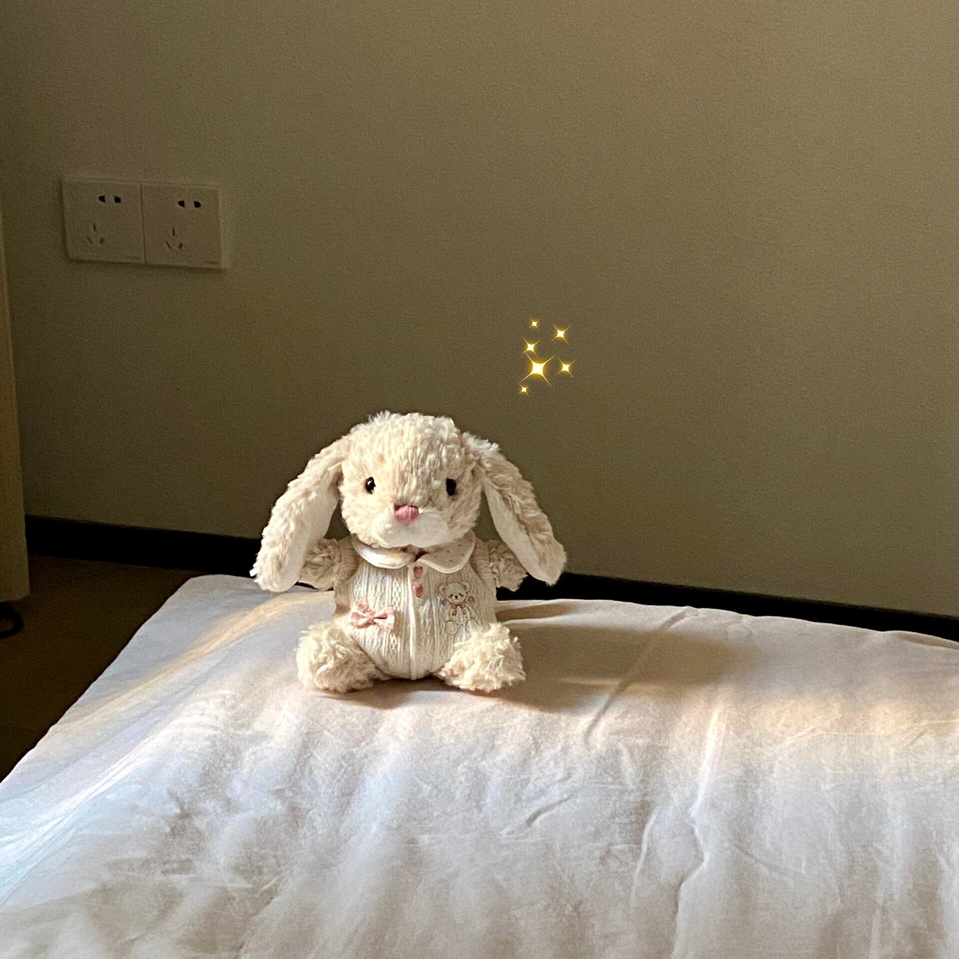 JELLYCAT 달콤한 토끼 맛있는 오리 땅콩 펭귄 15CM 옷 봉제 인형 인형 옷