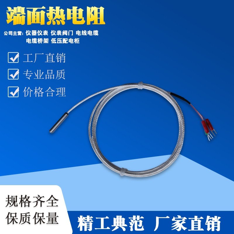 pt100热电阻镀银丝屏蔽线端面热电阻工业实验室反应釜用测温探头