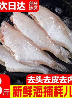 大海十三马面鱼新鲜冷冻火锅食材