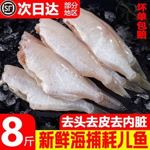 马面鱼新鲜冷冻耗儿鱼扒皮鱼火锅食材玻璃鱼海鲜鱼类水产批发商用