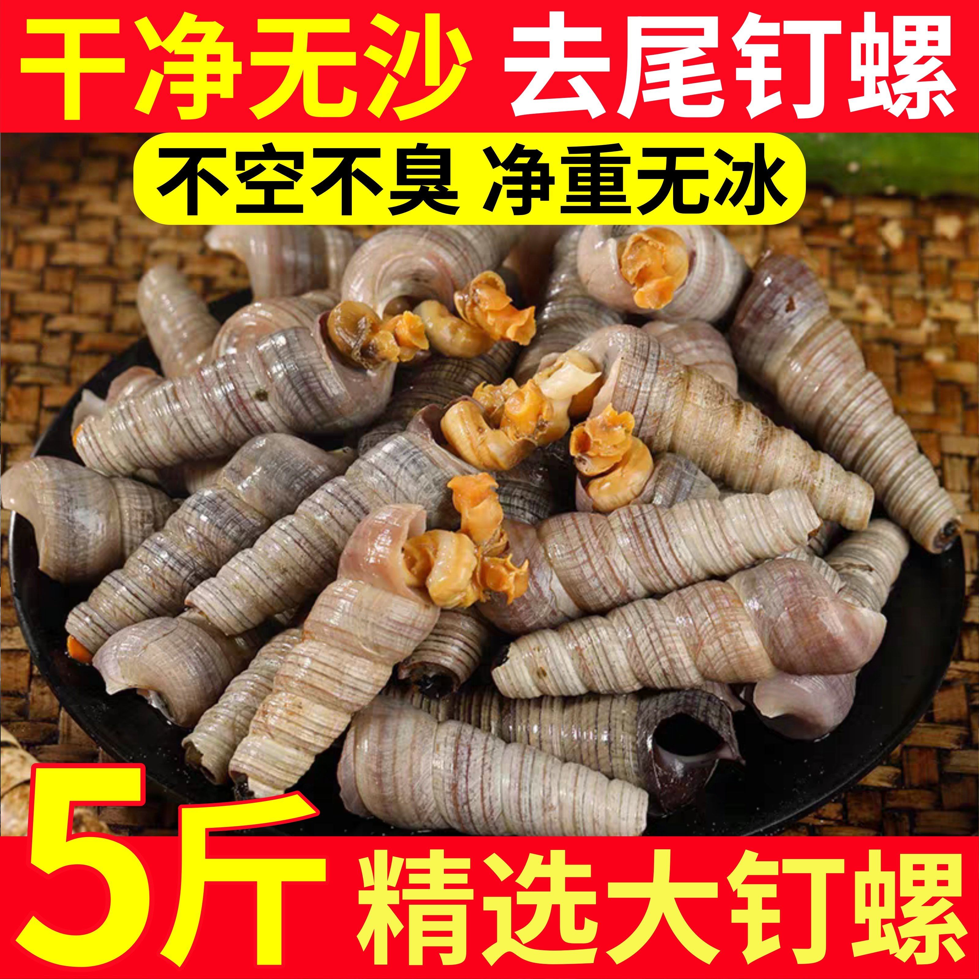 钉螺鲜活去尾大号海螺锥螺5斤捞汁小海鲜麻辣钉螺新鲜水产商用
