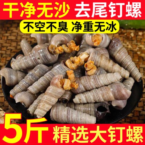 新货！鲜活去尾大号麻辣钉螺5斤