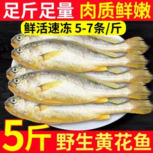黄鱼新鲜冷冻小黄花野生大号冰鲜活冷冻海鲜深海鱼水产商用批发