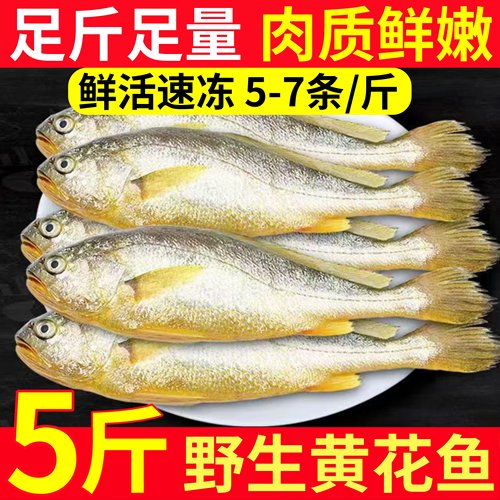 大海十三深海野生黄花冷冻小黄鱼