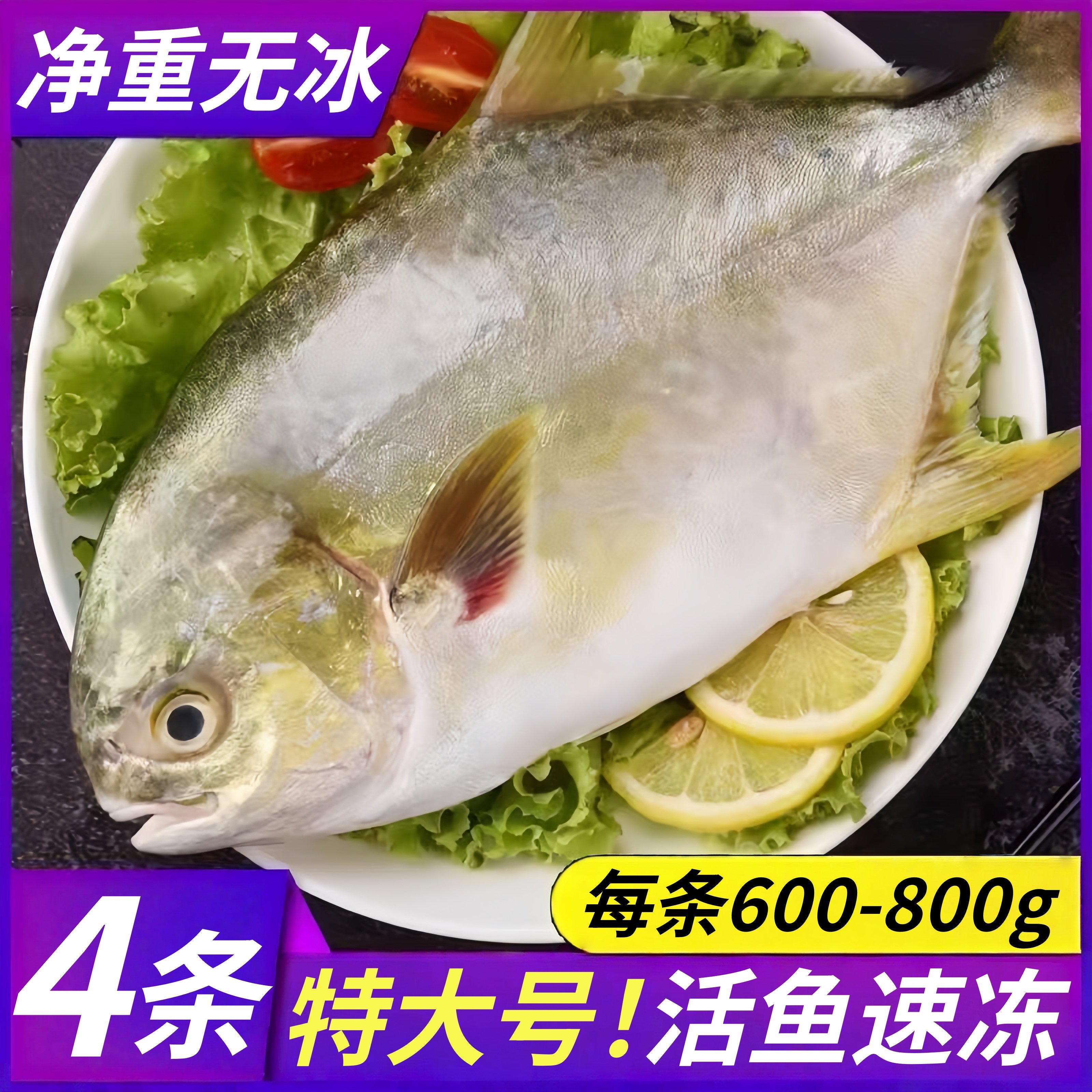 金鲳鱼新鲜冷冻特大鲳鳊鱼金昌鱼海鱼鲜活海鲜平鱼白鲳冰鲜银鲳鱼