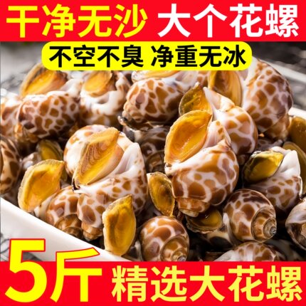 花螺鲜活新鲜海螺特大号海鲜水产鲜活鲜冻冷冻东风螺特大花螺贝类