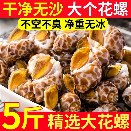 花螺鲜活鲜冻特大花螺60-80粒/斤