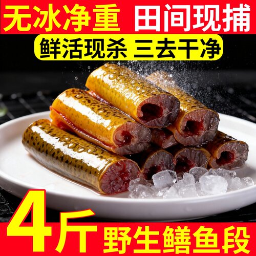 冷冻去内脏去肠黄鳝段鳝鱼片