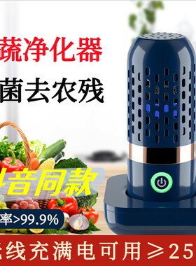 德国超声波果蔬清洗机家用