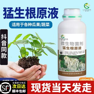 猛生根原液强力生根壮苗剂生根粉液移栽扦插果树花卉绿萝促生发根
