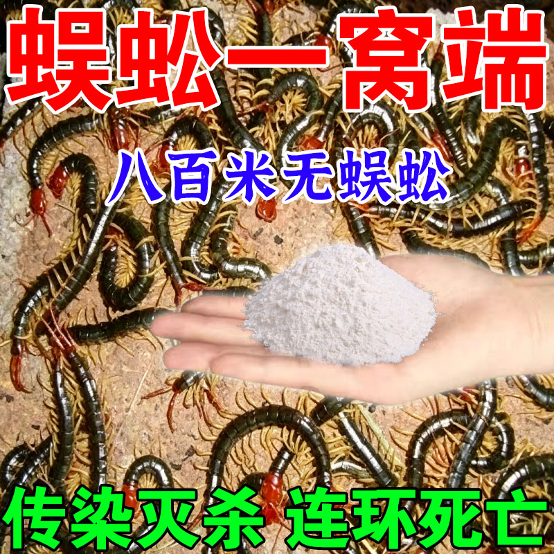 卫豹无毒家用室内外杀蜈蚣粉剂