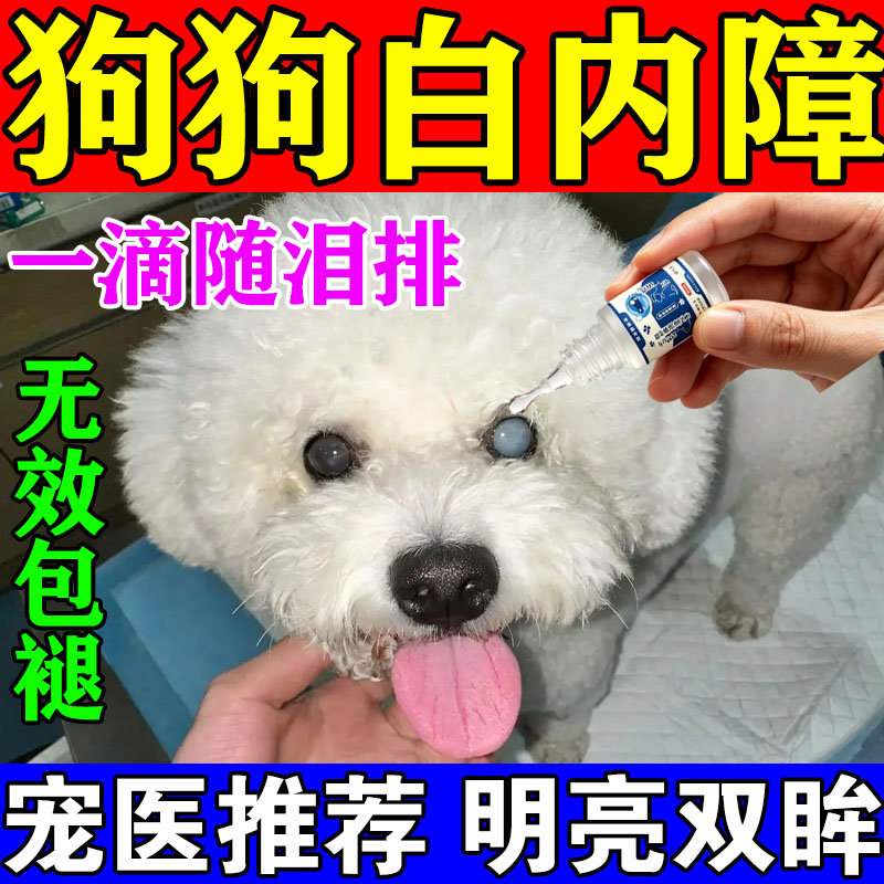 中老年犬白内障眼药水祛浑浊图片