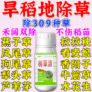 旱稻田除草烂根剂封闭药除草不伤旱稻苗杂草水稻田苗后除草专用剂