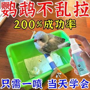 鹦鹉定点排便神器玄凤鹦鹉牡丹鹦鹉站架禁止乱拉屎尿上厕所诱导剂