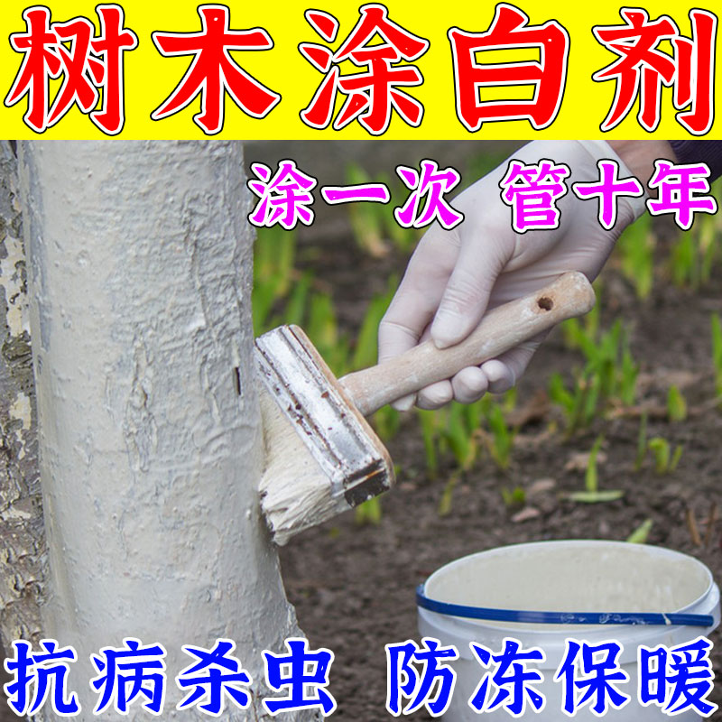 树木涂白剂防虫蚀防冻霜石灰粉