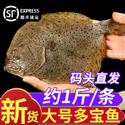 多宝鱼鲜活速冻比目鱼新鲜冷冻鸦片鱼整条鲽鱼商用海鲜特大批发