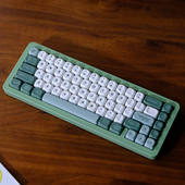 热升华键帽 植物园 PBT材质 MOA高度 星尘外设