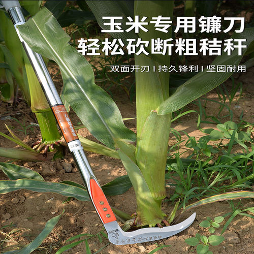 割玉米专用镰刀户外苞米