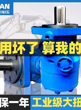 液压马达BM2/BMR-80 125 250 315 400 500高速低速大扭矩油压马达