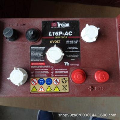 TROJAN蓄电池6V31H动力铅酸J305G-AC高空作业平台蓄电池
