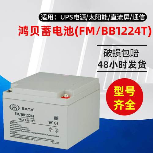 蓄电池FM/BB1224T免维护铅酸12V24AH 电池电瓶屏 EPS通讯