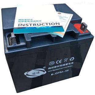 免维护储能工匠电瓶 120 UPS系统应急电 GFM