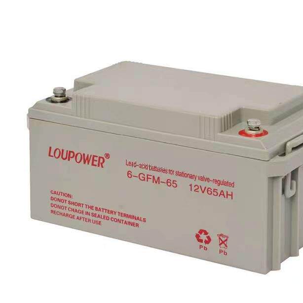 莱力蓄电池6-GFM-65铅酸免维护 12V6H消防机房太阳能直流屏