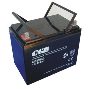 CGB蓄电池CBL122000 逆变器直流电源 12V200AH直流屏
