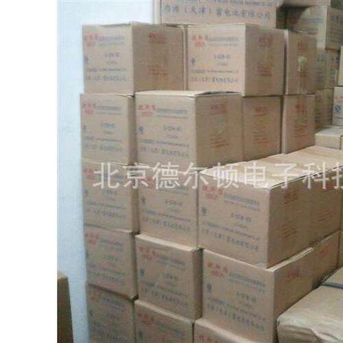 12V100AH太阳能 WYD12100L阀控式免维护蓄电池