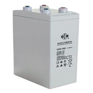 1000 机房配电 2V1000AH UPS电源 直流屏 信号灯塔 蓄电池GFM