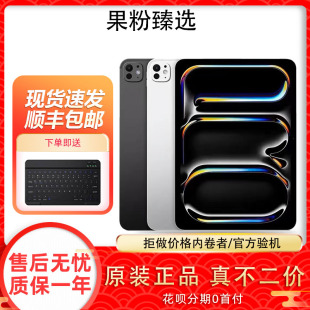 苹果 Pro iPad 标准玻璃面板 英寸 Apple