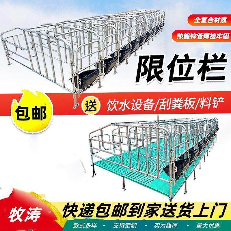 猪用限位栏母猪地面养猪场设备加厚地面围栏猪圈漏粪板设备