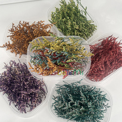 diy花材情人草永生花满天星