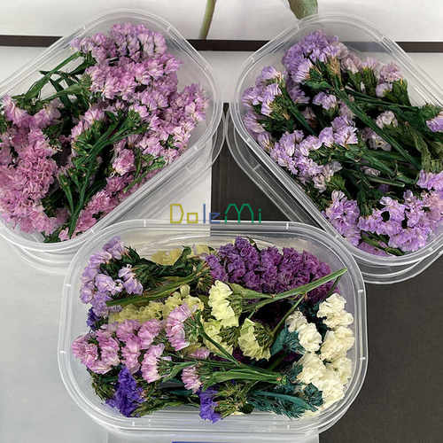 保鲜花民宿拍照道具勿忘我摆件